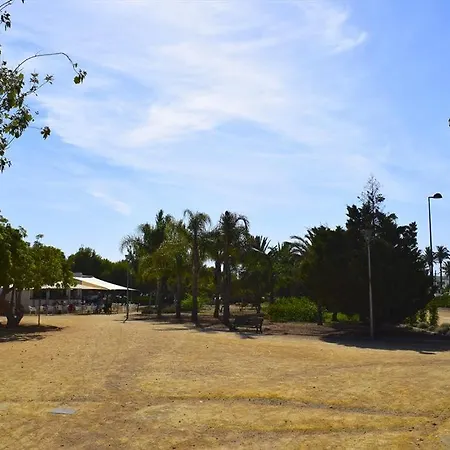 Apartment Ap2101 El Palmeral Marines Bassetes